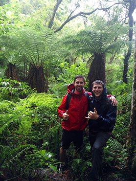 hike in the fern forest