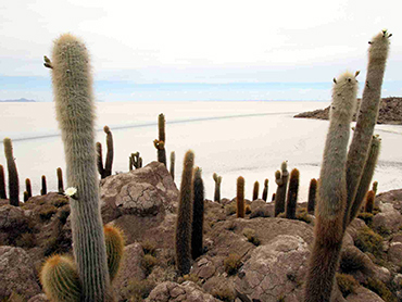 Isla Incahuasi