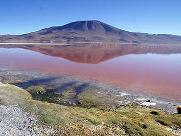 Laguna Colorada