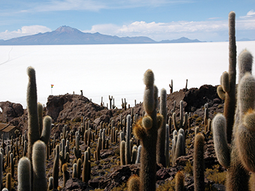 Incahuasi, cactus island