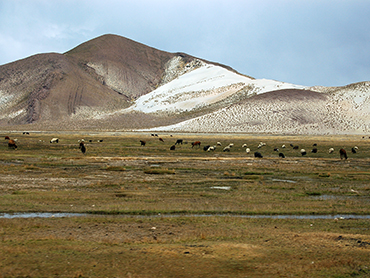 P.N. Avaroa paisaje