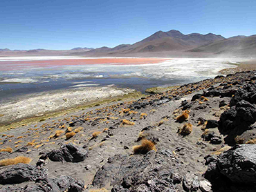 Laguna Colorada