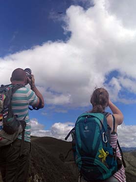 Condor Hike