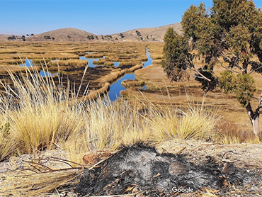 Lago Titicaca, Pariti