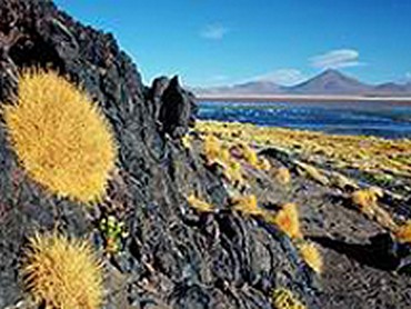 P.N. Avaroa paisaje